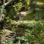 My Blissful Retreat at Paradisa Plantation Resort: A Personal Experience