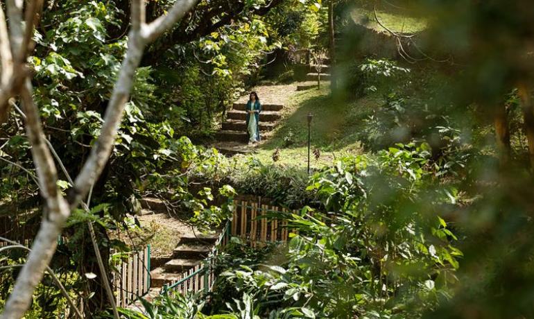 My Blissful Retreat at Paradisa Plantation Resort: A Personal Experience