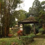 Discovering the Beauty of Paradisa Plantation Resort